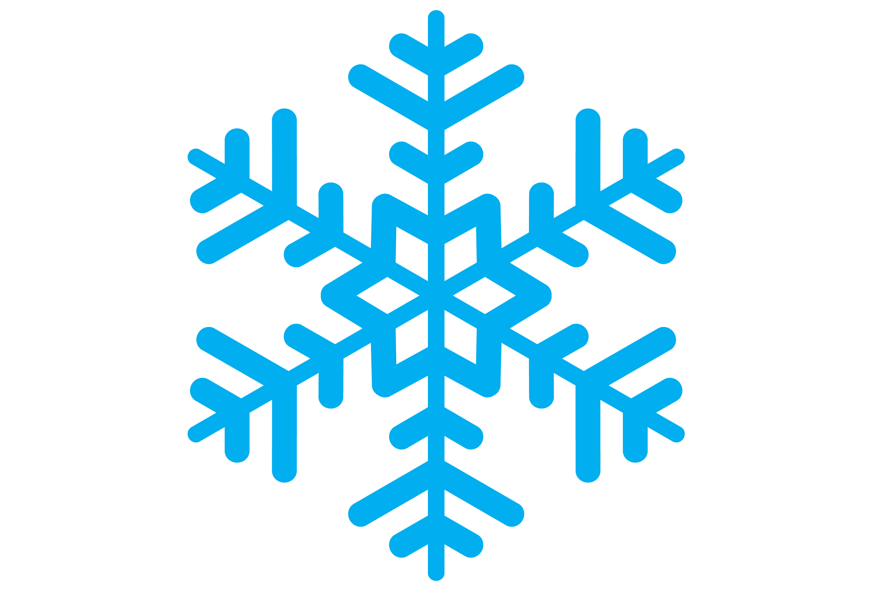 Snowflake – New York State Society for Respiratory Care
